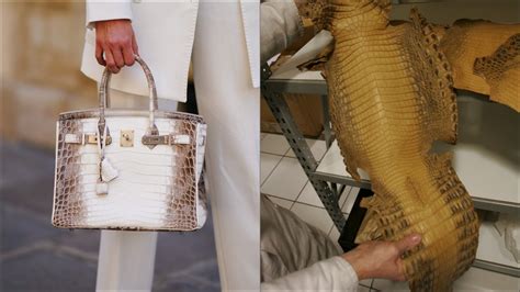 hermes crocodile ferme|Hermes crocodile.